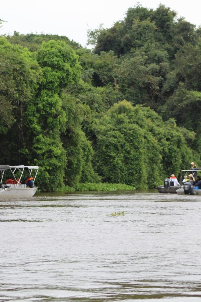 Peralta-Pantanal_WhatsApp-Image-2023-06-13-at-15.54.42